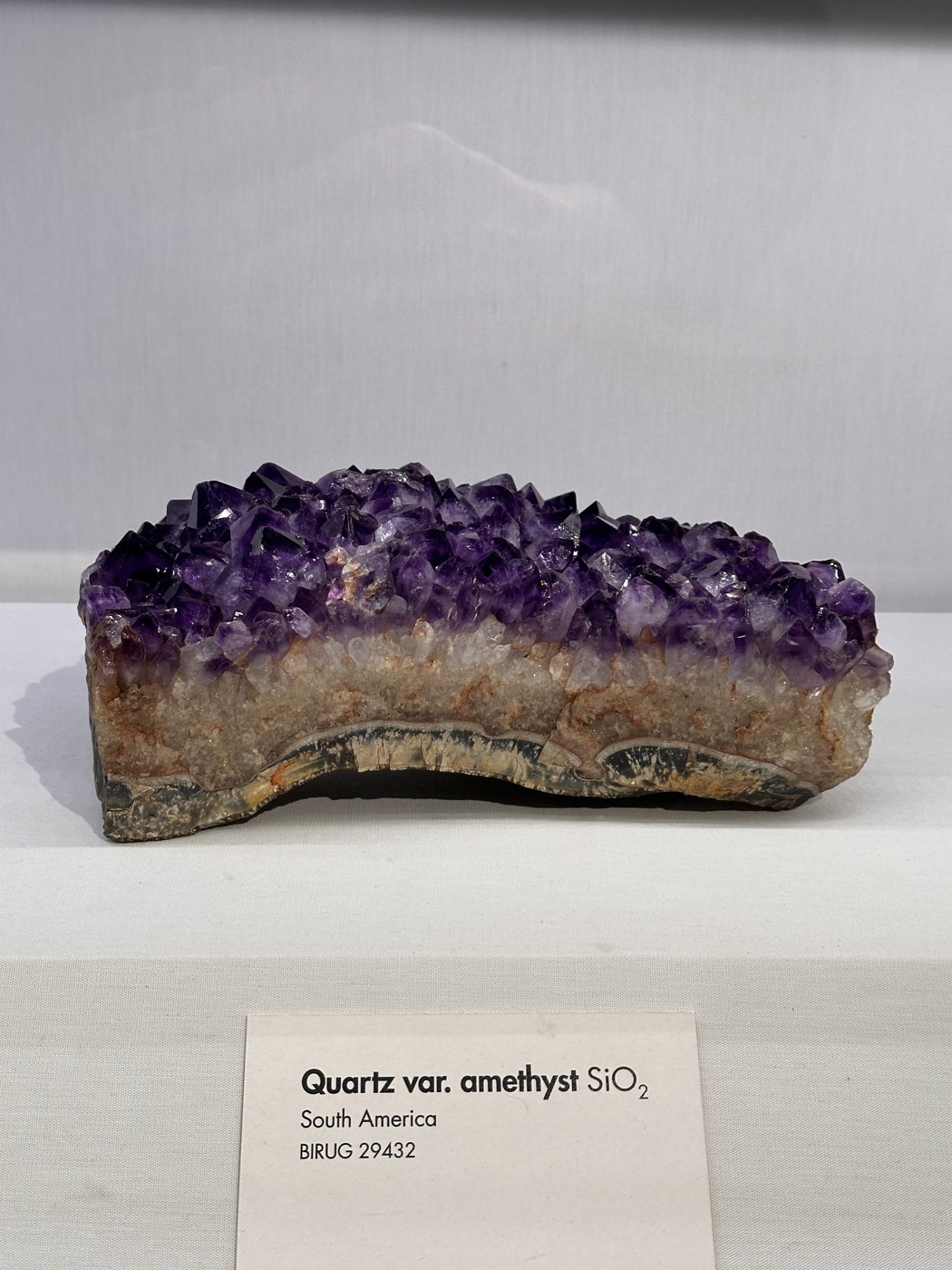 ラップワース地質博物館の紫色のアメジスト結晶と展示ラベル